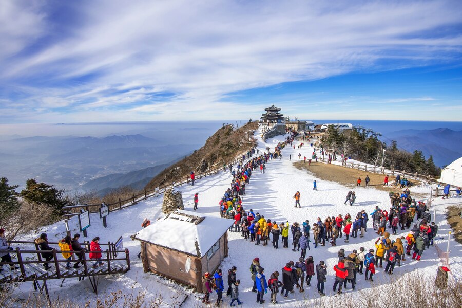 Shimla vs Manali: Which Is the Perfect Honeymoon Destination?